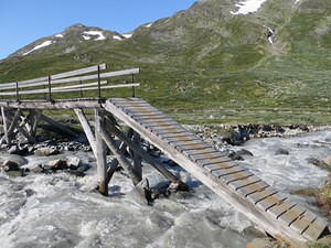 IMG 4519