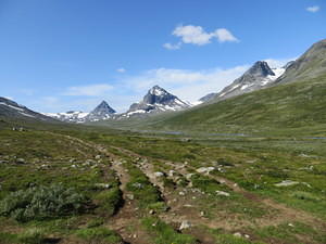 IMG 4526