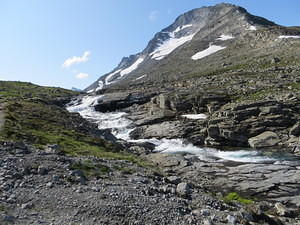 IMG 4530