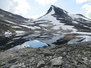 IMG 4543