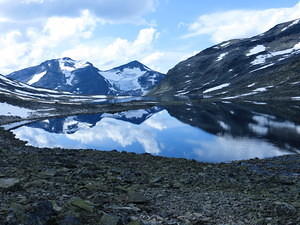 IMG 4547