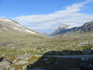 IMG 4570