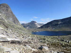 IMG 4579