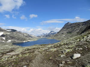 IMG 4591