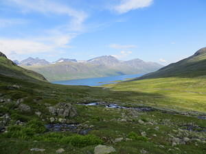 IMG 4638