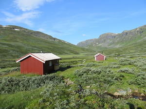 IMG 4656