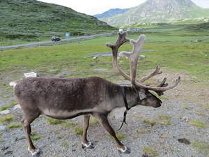 IMG 4693